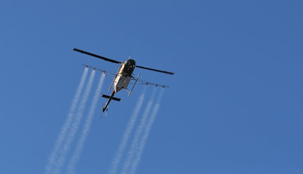 psekasmos888