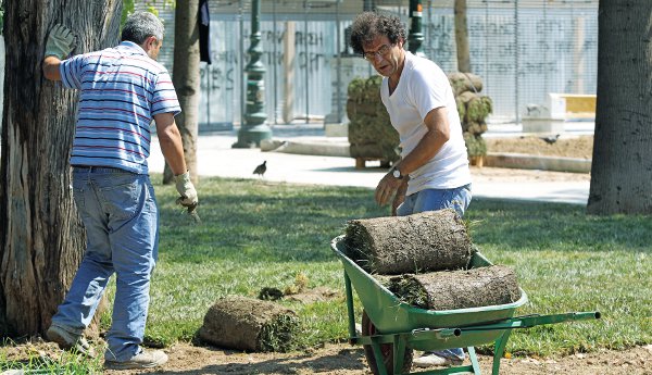 syntagma555