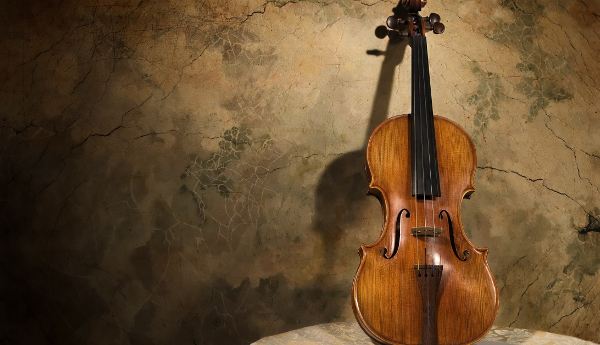 violi444