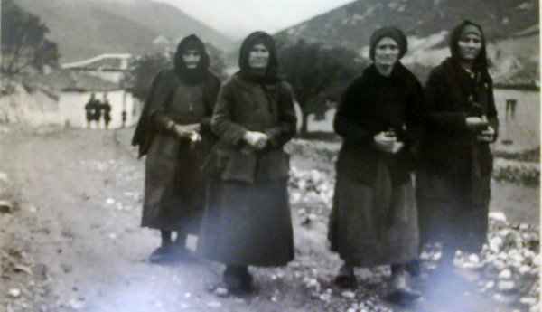 distomo354