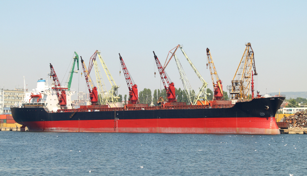 naytilia5678