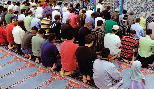 tzami563