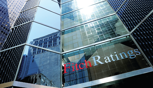 fitch534