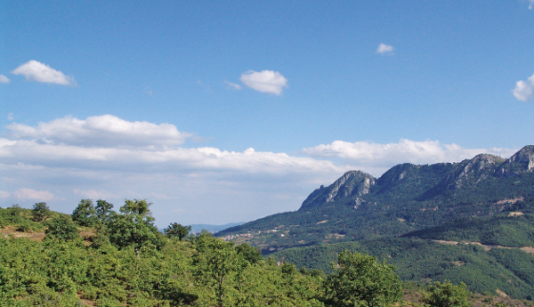 grevena544