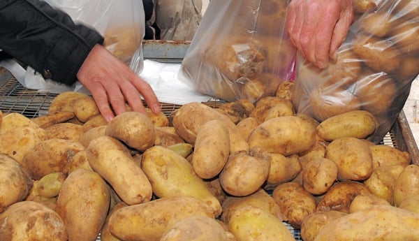 patates936
