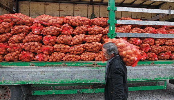 patates9568