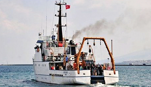 piri617