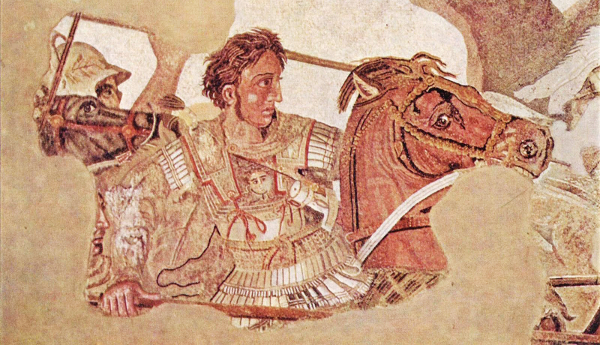 alexander533