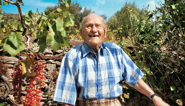 ikaria8953
