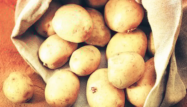 patates853