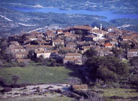 638509_agridia1