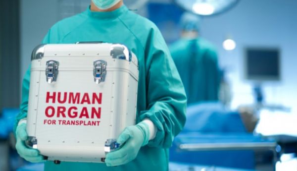 9922e51-operation-organ