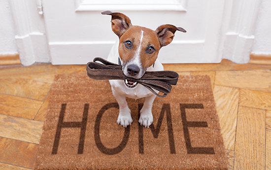 shutterstock_609057113