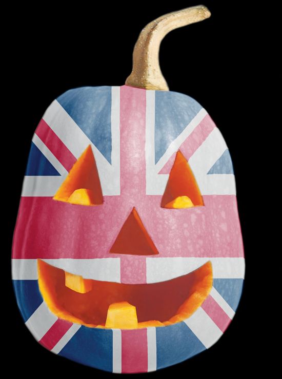 shutterstock_1210486660