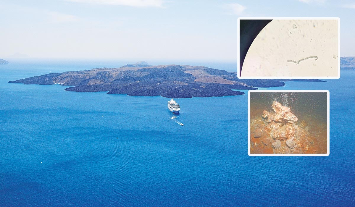 Υπάρχει ζωή σε υποθαλάσσιο ηφαίστειο!