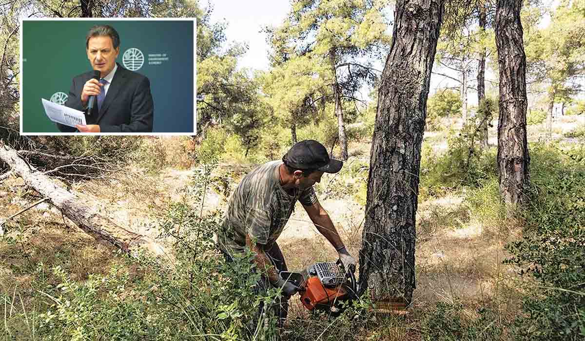 Διαχείριση δασών από ιδιώτες με επιδότηση