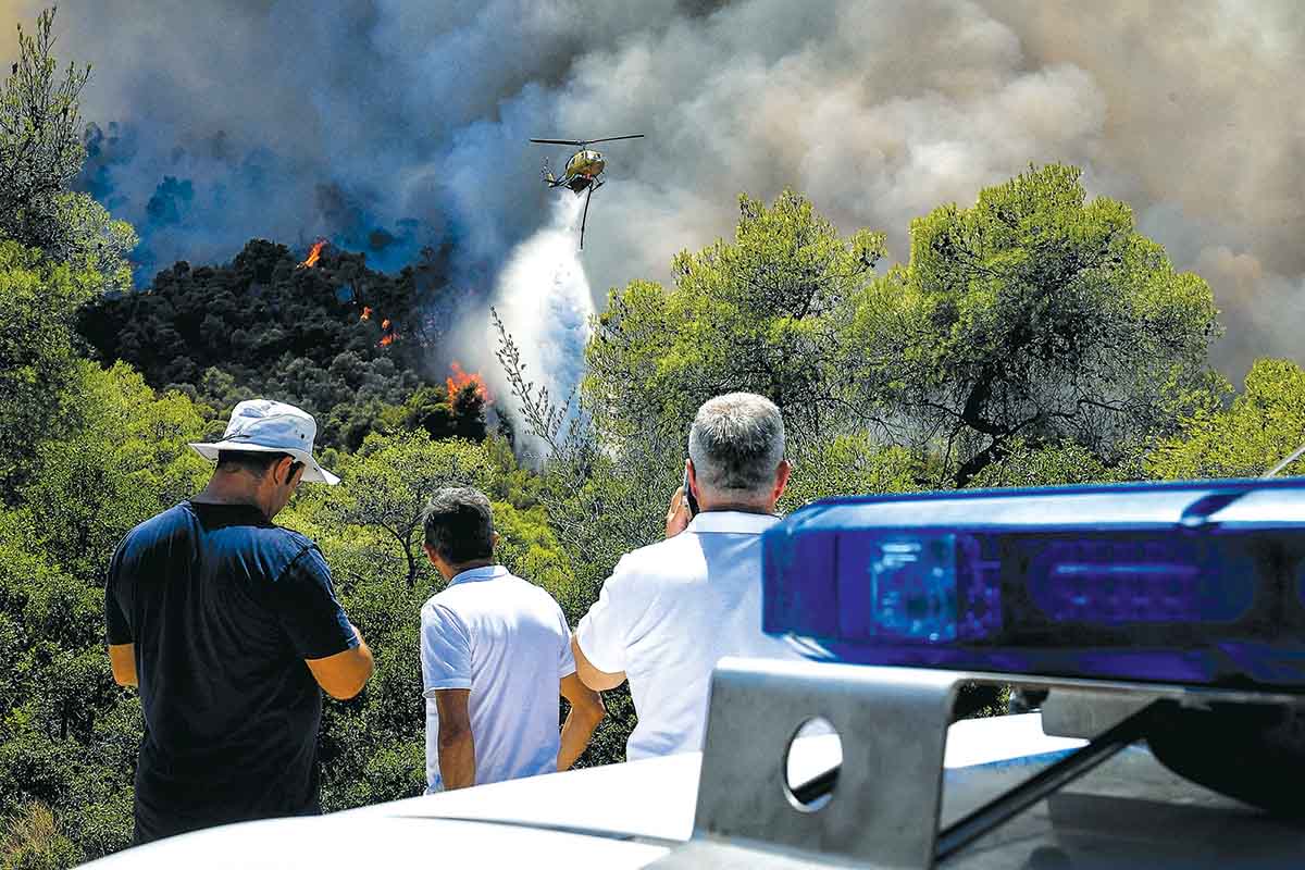 Σε στάχτη μετατράπηκε παρθένο πευκοδάσος