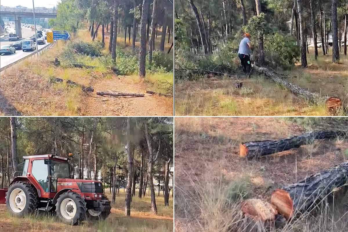 Καταστρέφουν το Σέιχ Σου για τον Flyοver!