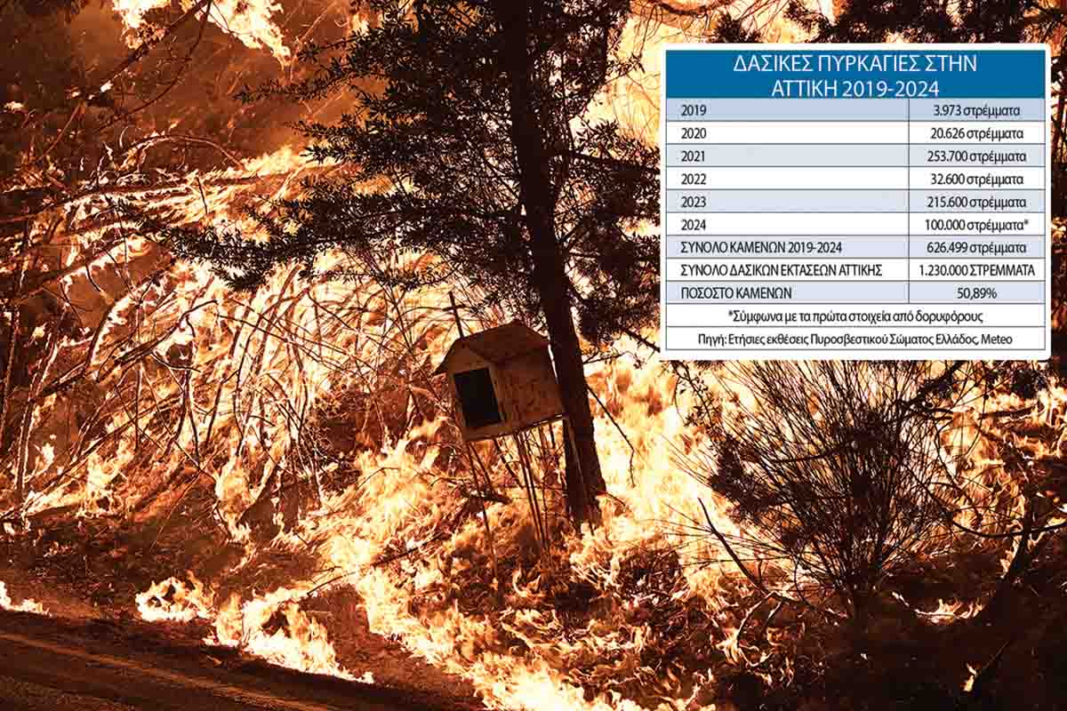 Τα μισά δάση της Αττικής αφανίστηκαν επί Μητσοτάκη