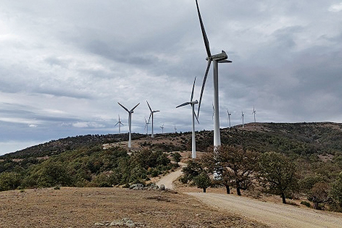 Στήνουν αιολικά πάρκα σε καμένες περιοχές του Εβρου!