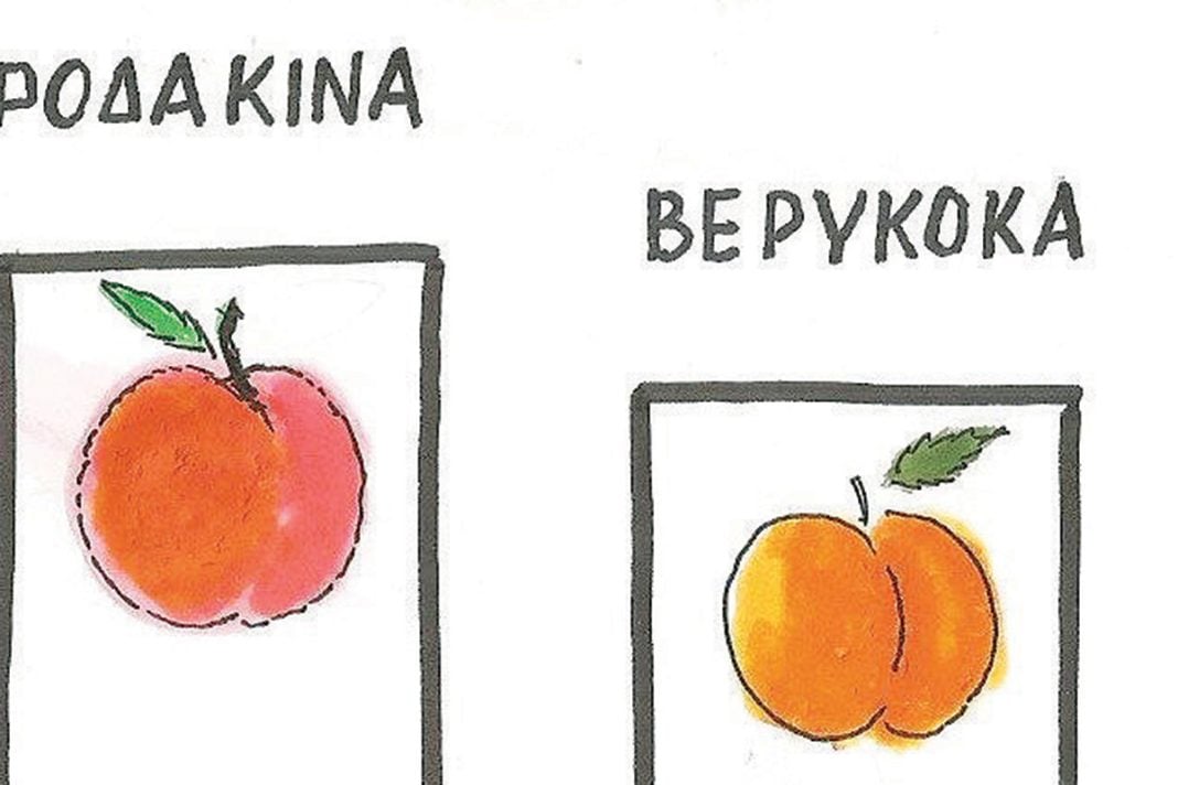 Το σκίτσο της «Δημοκρατίας» 20/06/2025