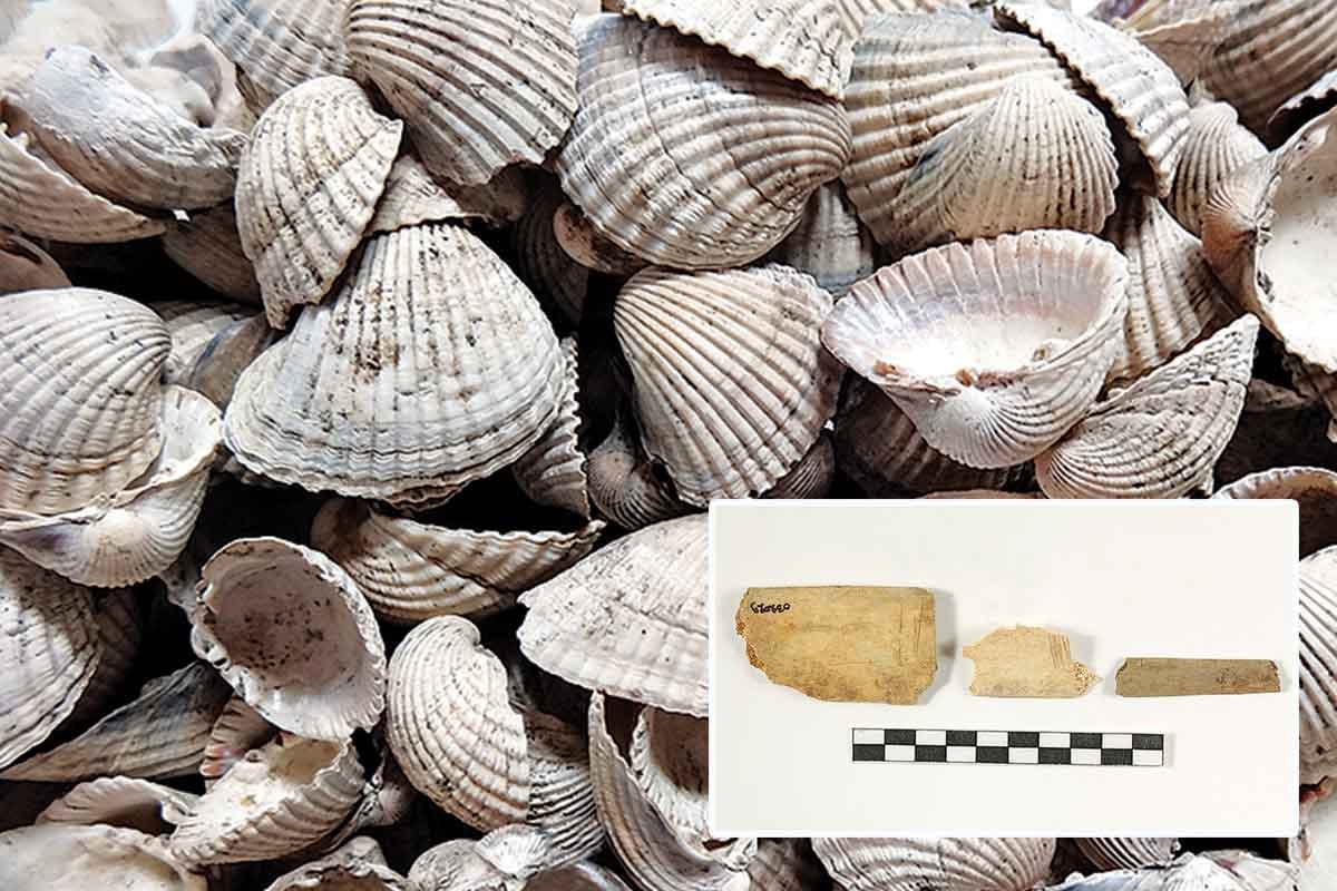 Ανακάλυψη! Τι έτρωγαν οι προέλληνες το 5450 π.χ.