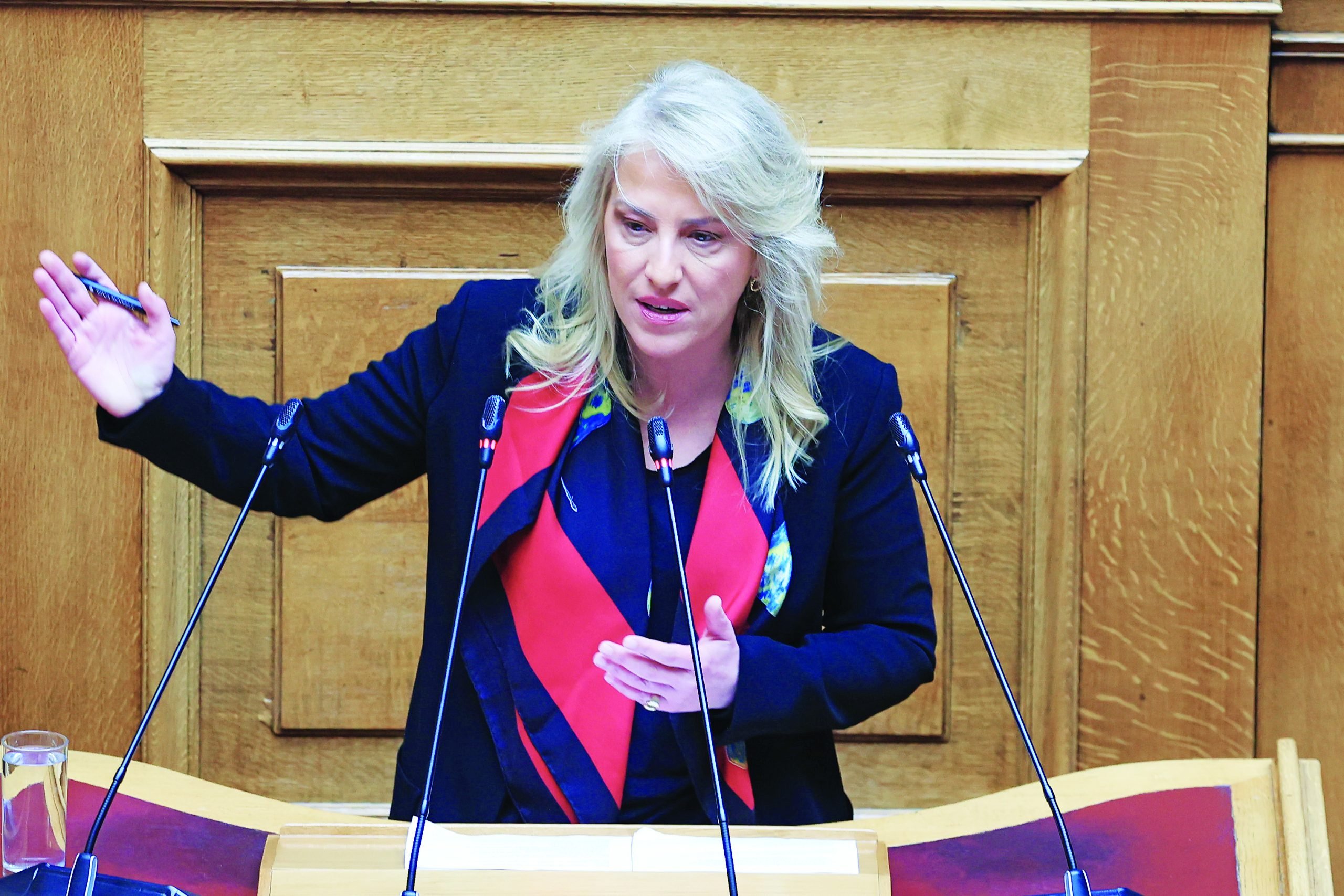 Έντονη κριτική από τη Δούρου