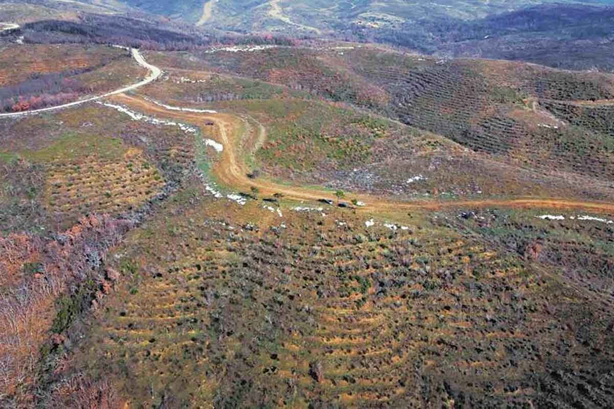 Εβρος: «Φυτεύουν» 91 ανεμογεννήτριες στα καμένα