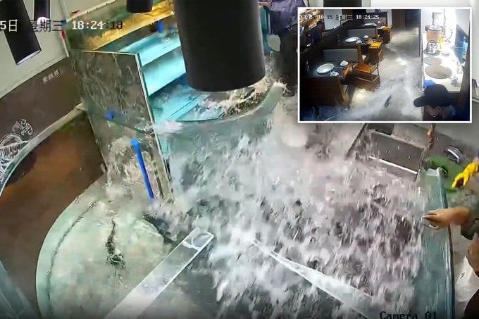 Κίνα: Έσπασε τεράστια δεξαμενή και πλυμμήρισε εστιατόριο με ψάρια (ΒΙΝΤΕΟ)