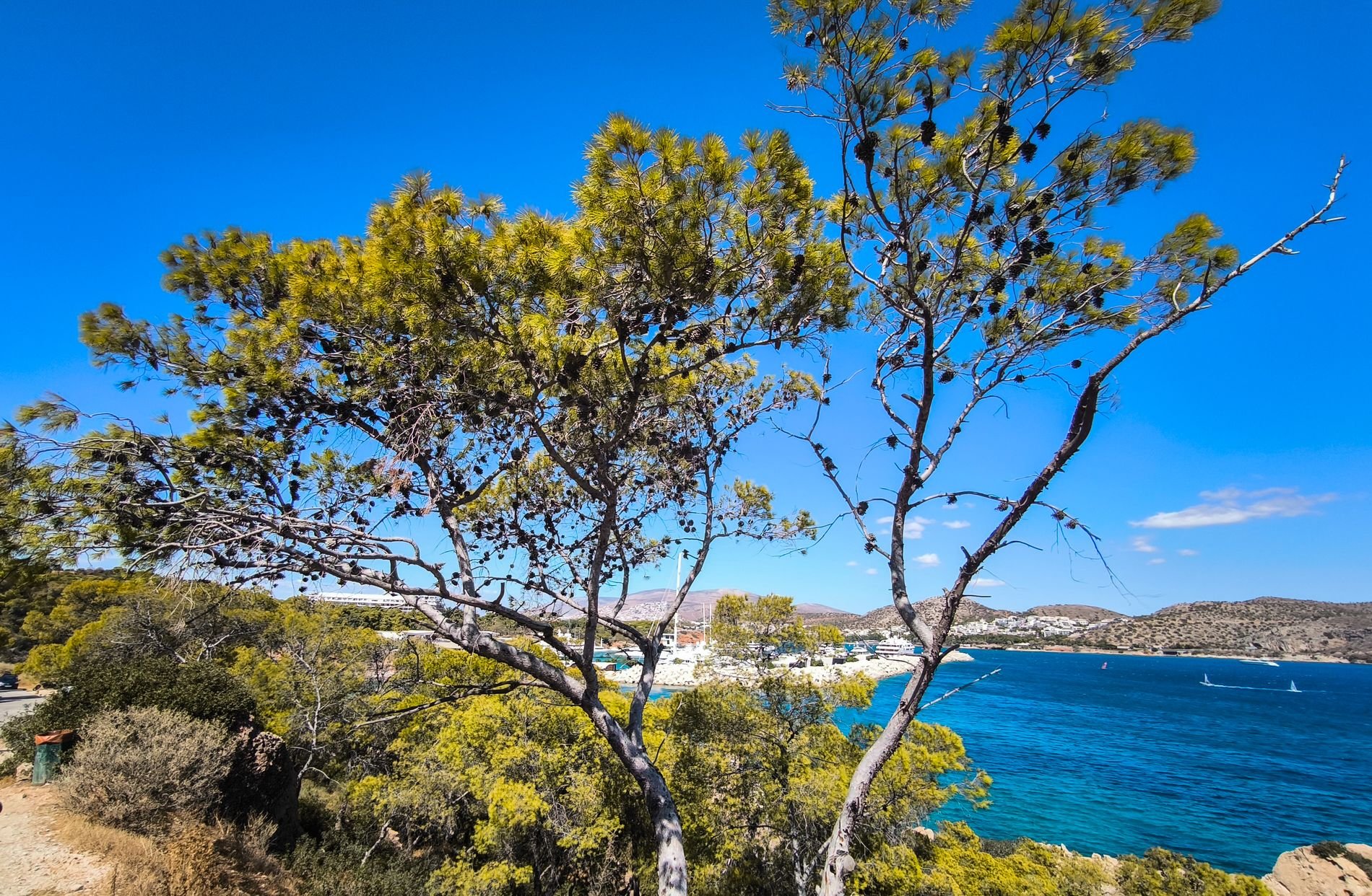 Ήλιος με… δόντια σήμερα: Την κατιούσα παίρνει και πάλι ο υδράργυρος – Δείτε τους προγνωστικούς χάρτες