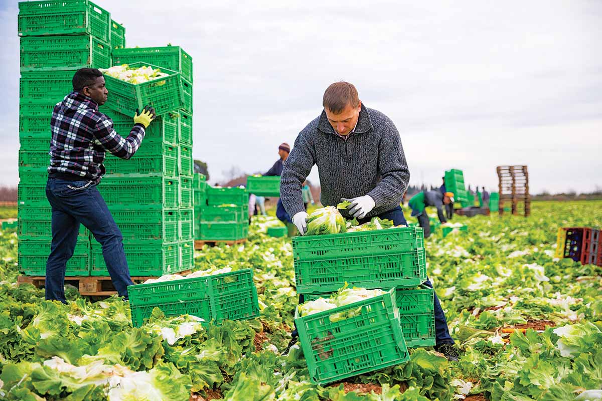 Πρωτοφανής αδικία με 4.600 συντάξεις χηρείας του ΟΓΑ