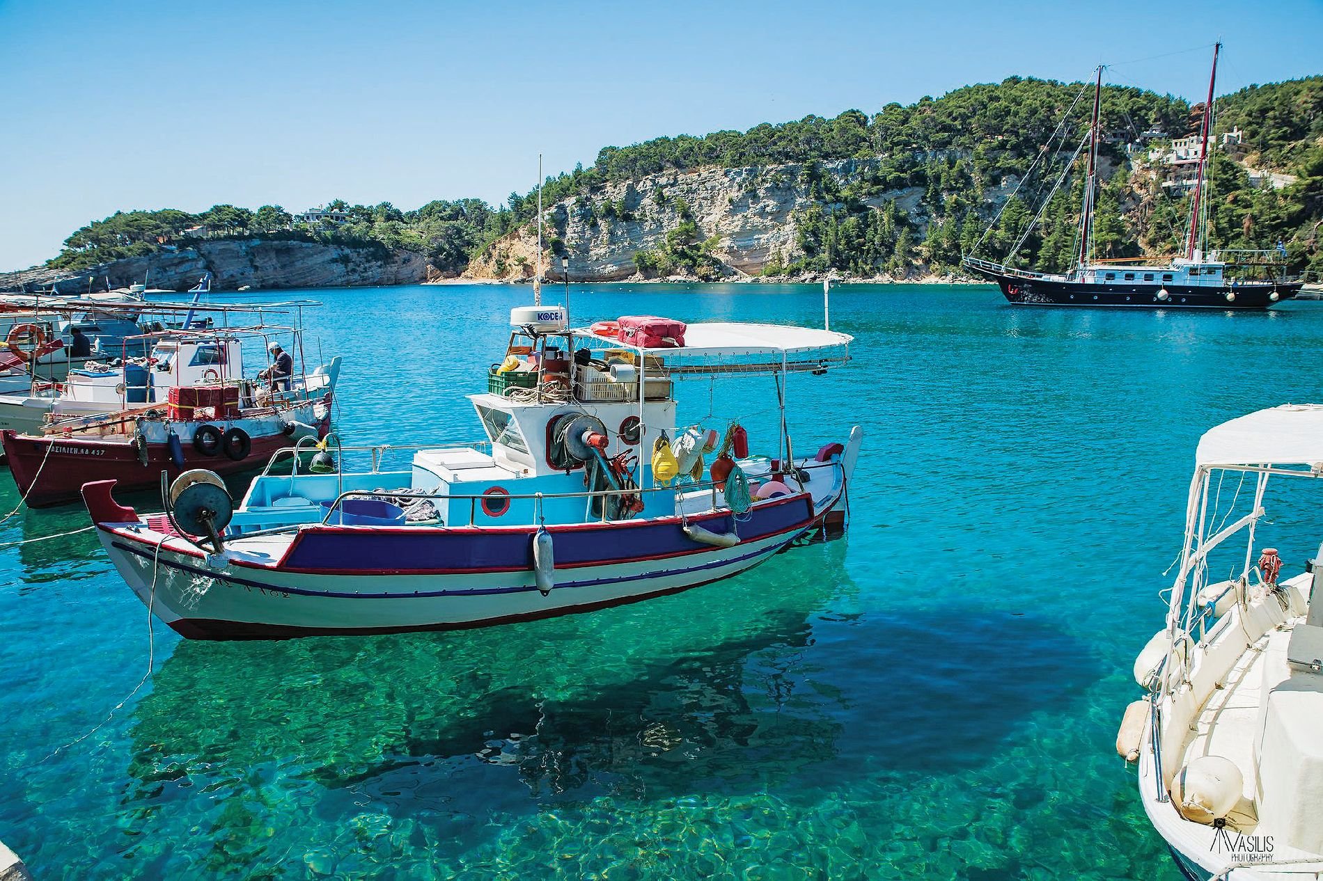 Οργή στην Αλόννησο: Ξένες ΜΚΟ εμποδίζουν το ψάρεμα! – Σε απόγνωση οι ντόπιοι