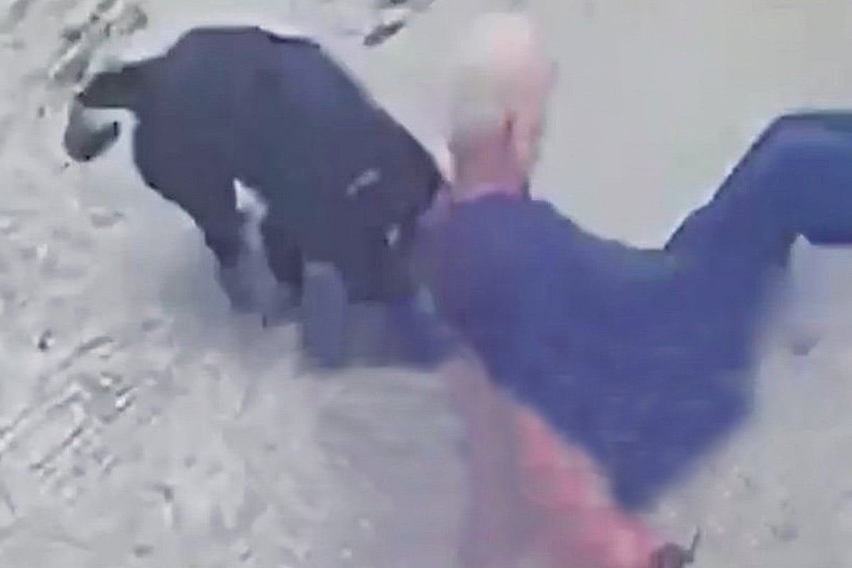 Αντικοινωνική κτηνολατρία