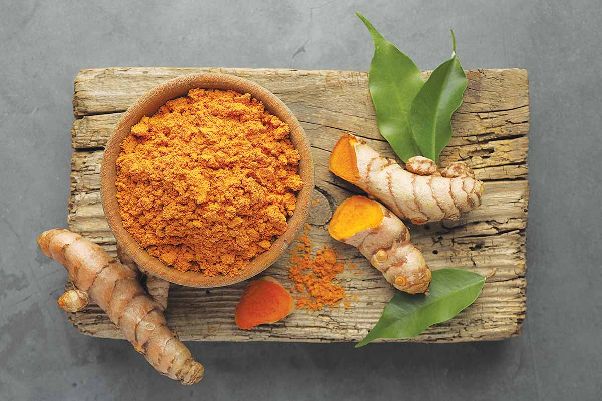 4 βότανα για την οσφυαλγία