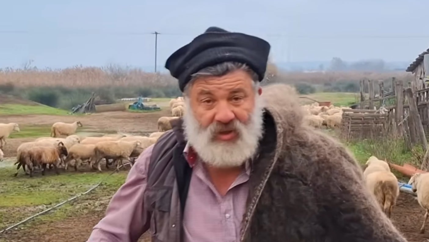 Με συμπτώματα εγκεφαλικού νοσηλεύεται ο κτηνοτρόφος που αποχαιρέτησε με λυγμούς 450 σπάνιας ράτσας πρόβατα