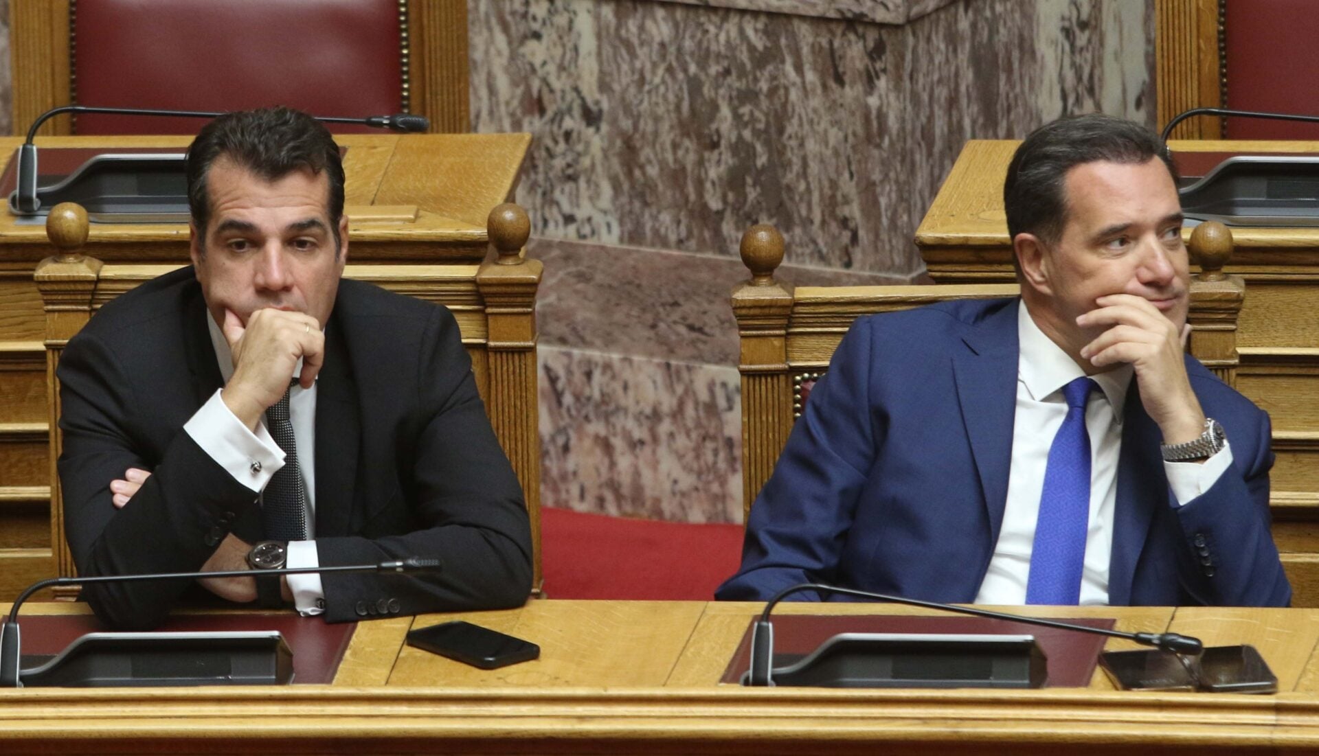 Χαράς το θράσος – Πλεύρης και Γεωργιάδης απαξιώνουν Χάγη και Διεθνή Αμνηστία: «Αδιάφορα σχήματα»