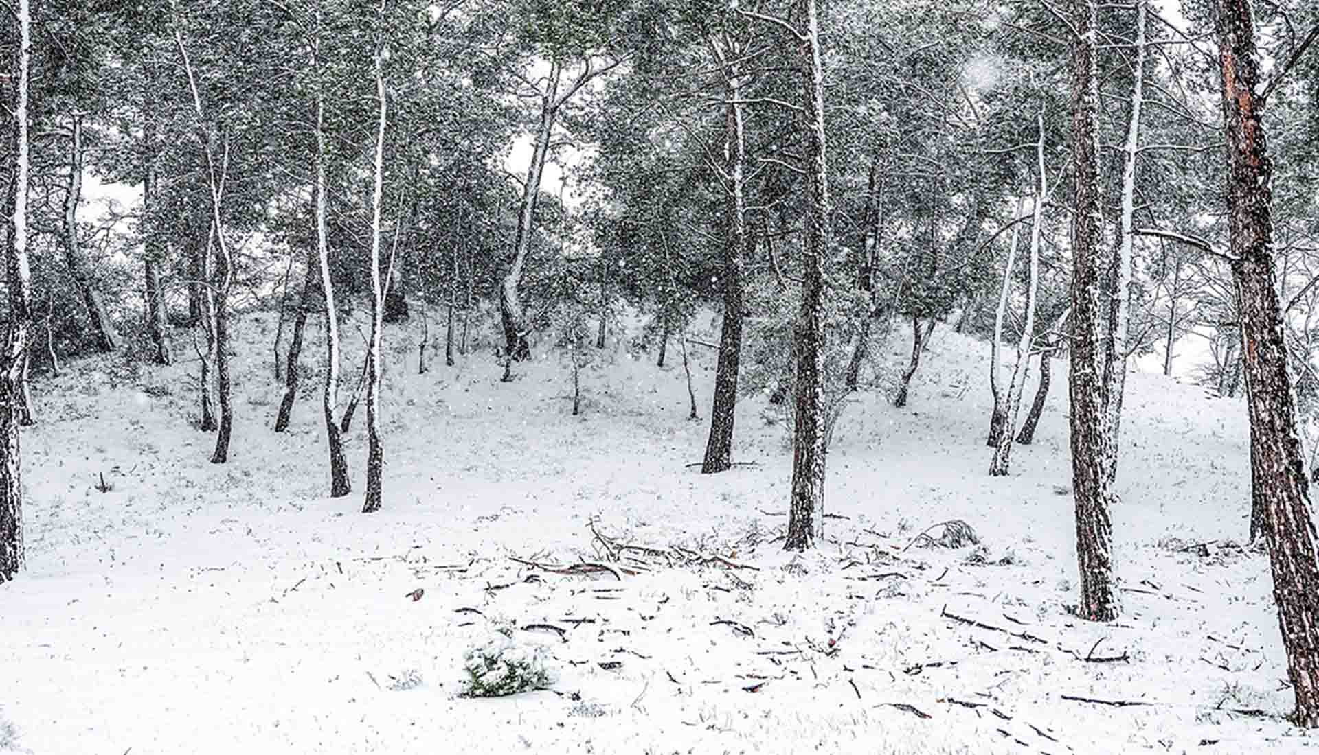 Άστατος καιρός με βροχές, ισχυρούς ανέμους και χιόνια σήμερα στη χώρα