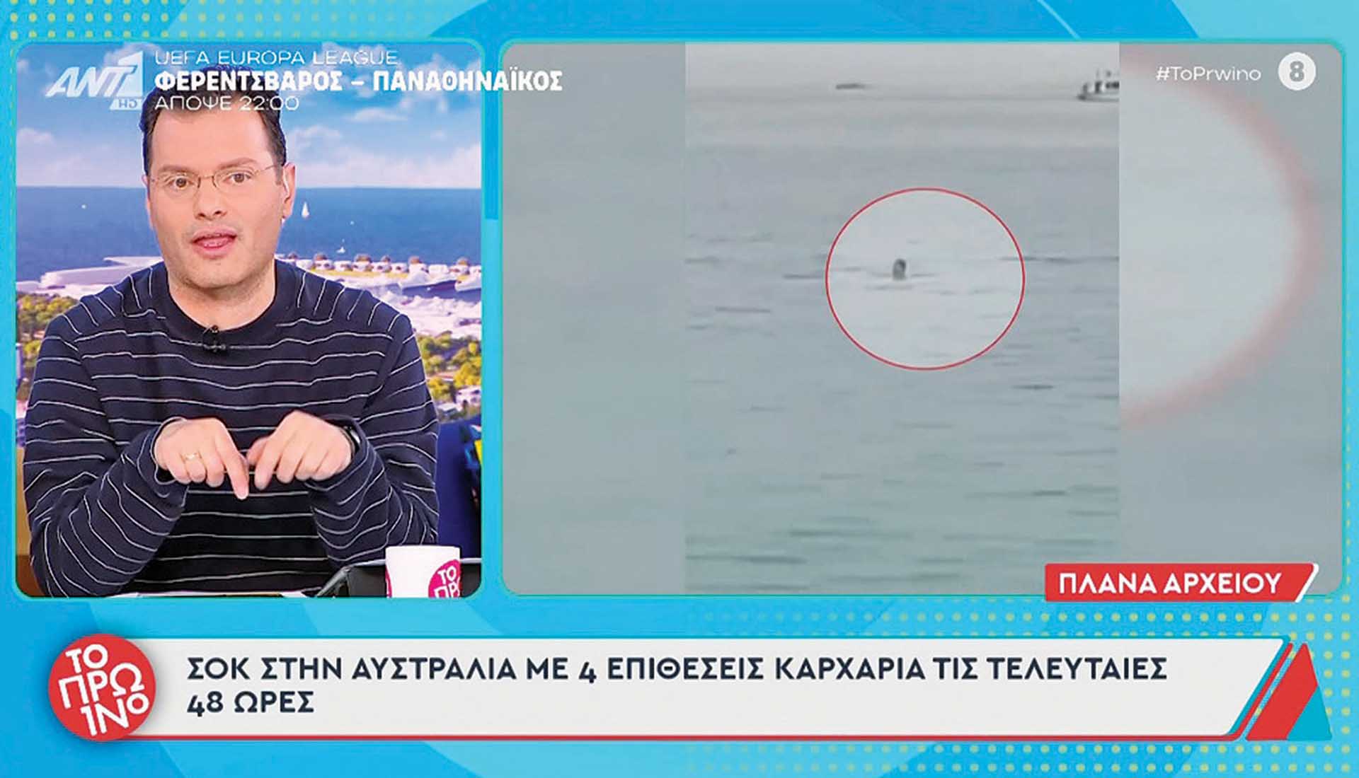 Καρχαρίες που θηλάζουν στου Λιάγκα!