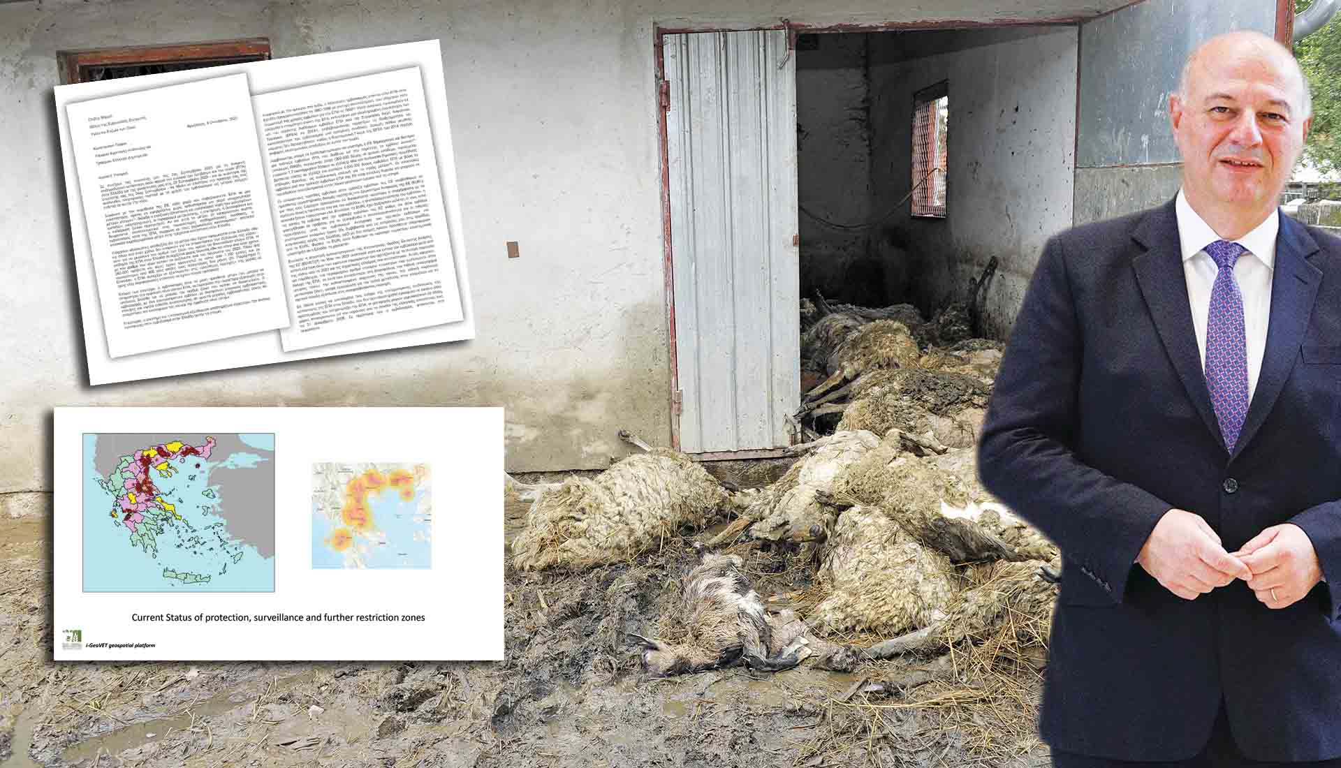 Το έγκλημα με τα εμβόλια της ευλογιάς: Πώς η κυβέρνηση Μητσοτάκη εξολόθρευσε την κτηνοτροφία – Αποκαλυπτικά ντοκουμέντα-φωτιά