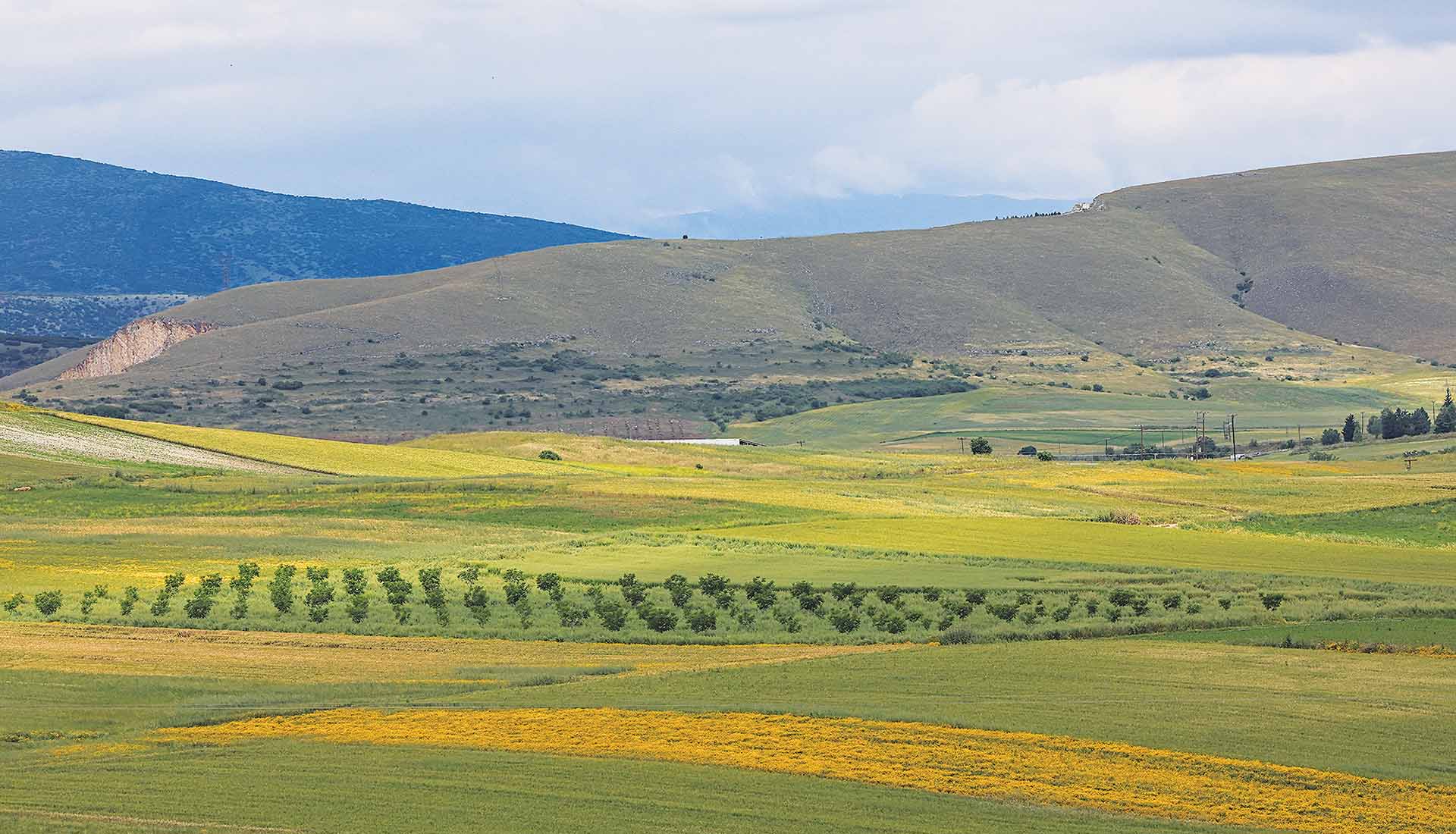 Greek Farms-gate: Εκατομμύρια για αέρα κοπανιστό