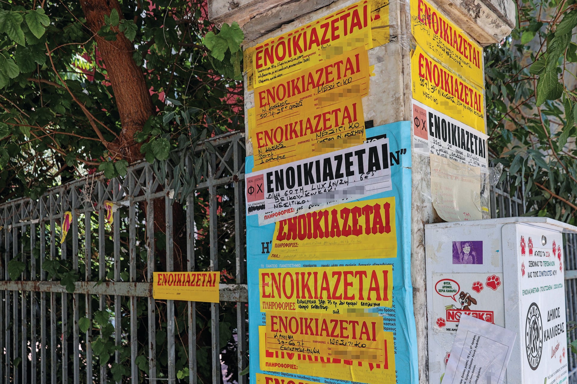 Φοιτητική στέγη