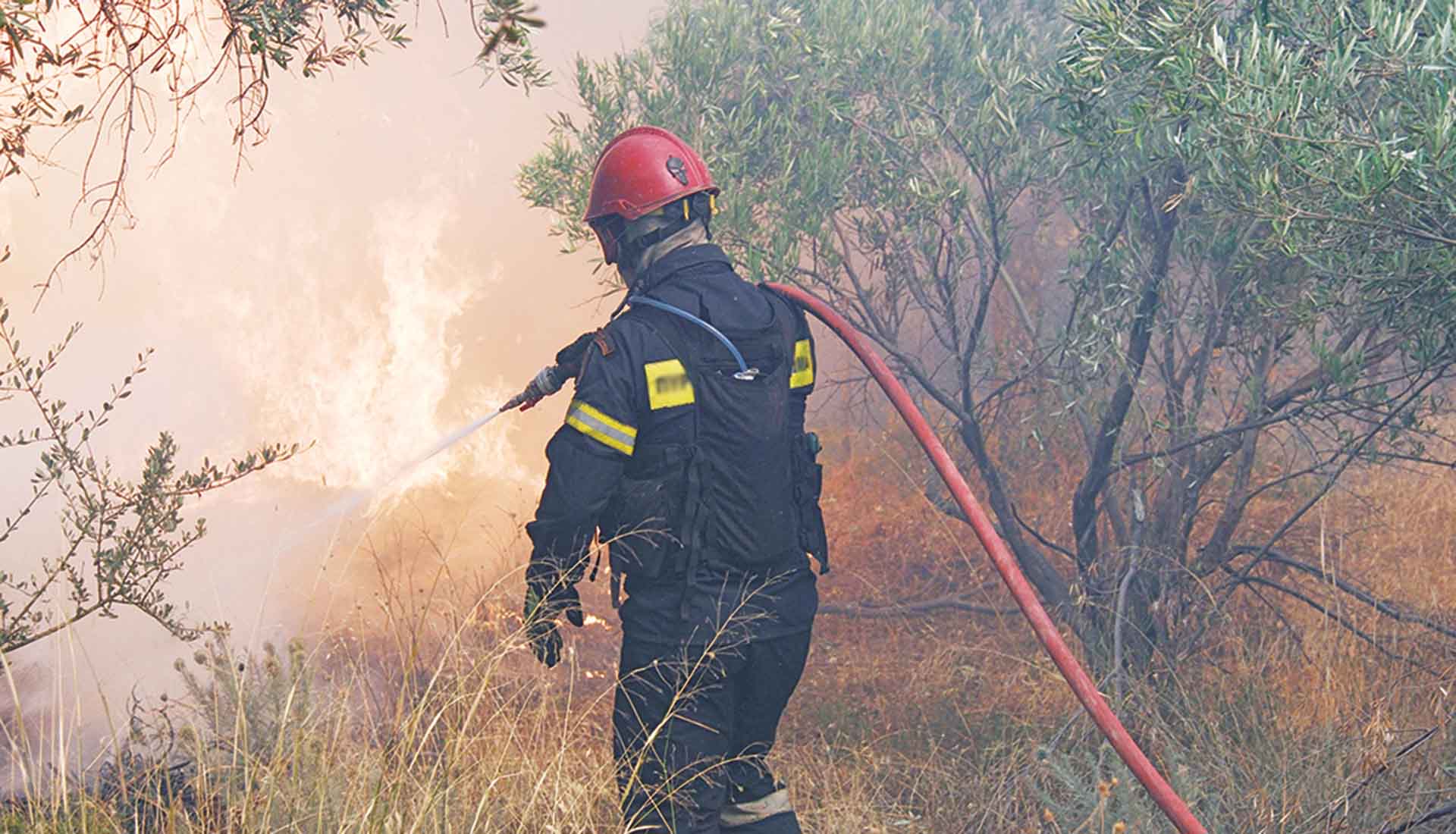Από τη «Γαλάζια Πατρίδα» μέχρι το… στρουμφάκι της Παρασκευής