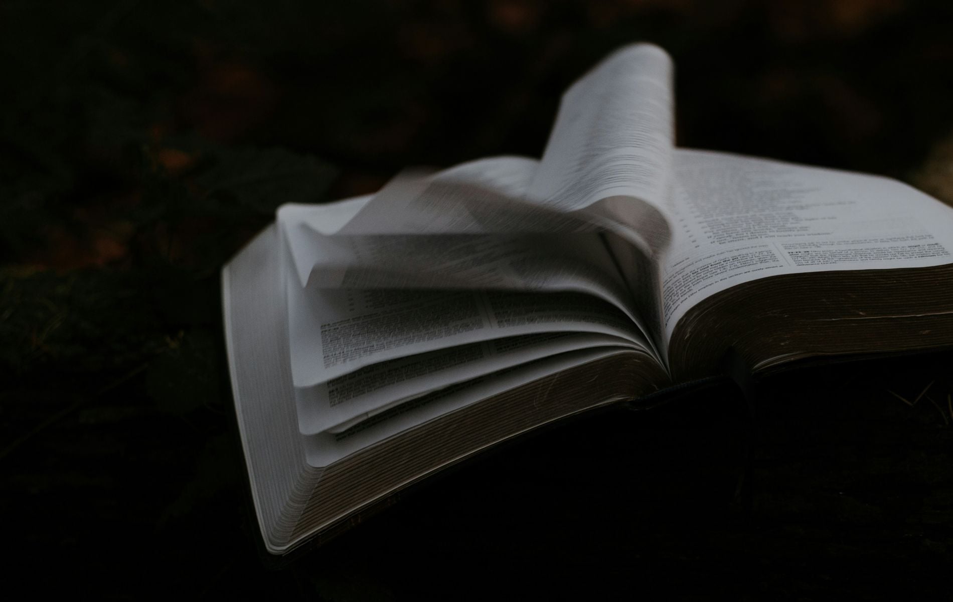 Codex H: Εμφανίστηκαν ιοι 42 χαμένες σελίδες ενός 1.500 ετών χειρογράφου της Καινής Διαθήκης