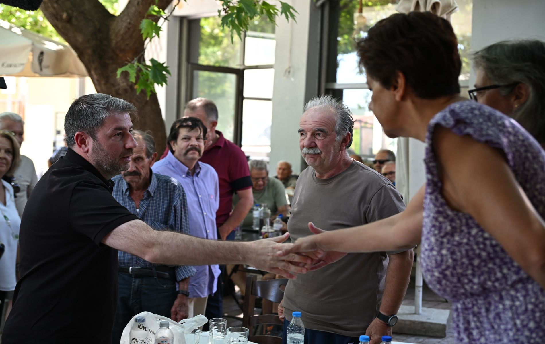 Νίκος Ανδρουλάκης