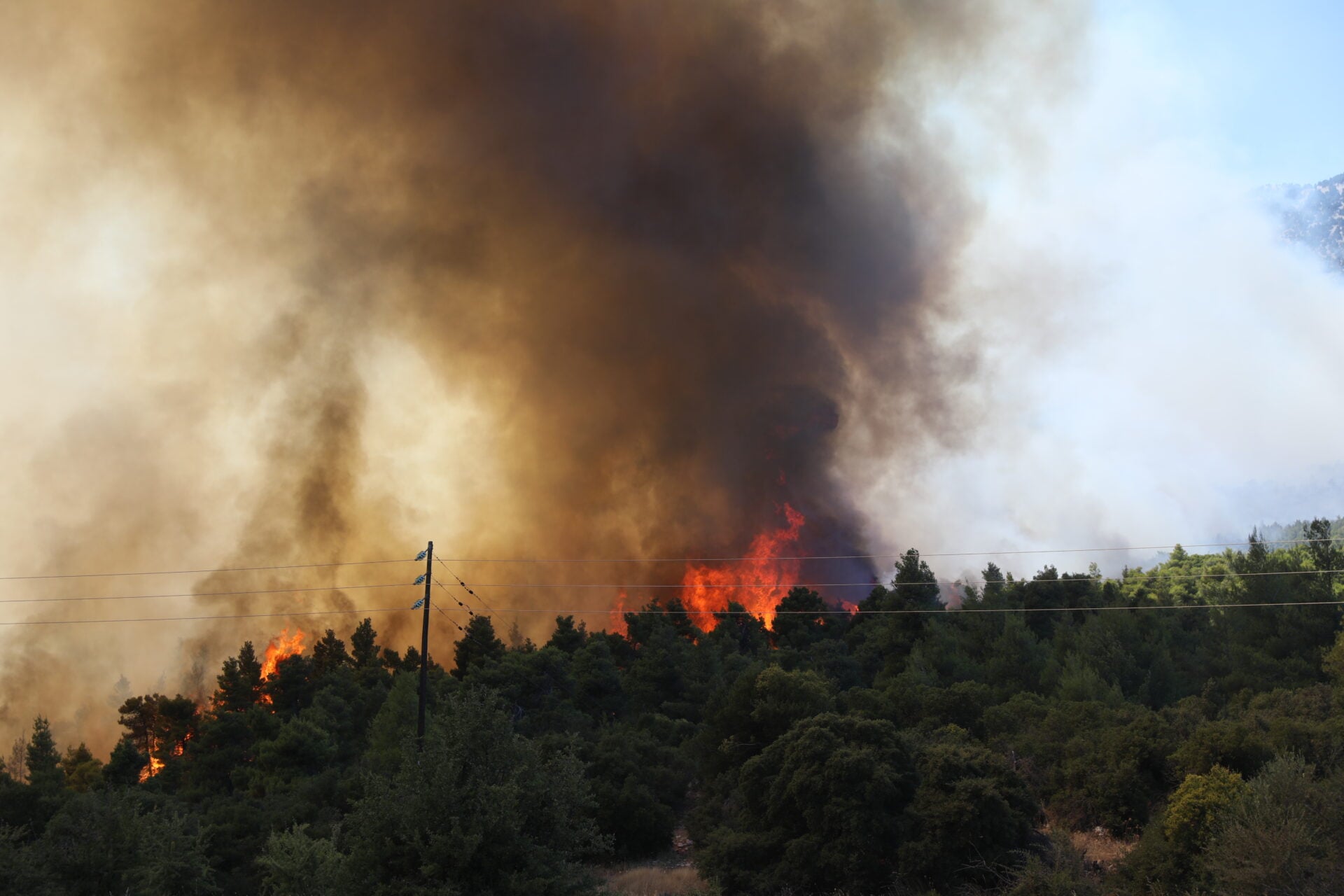 Φωτιά στη Βοιωτία: Συνελήφθη ο δήμαρχος Στυλίδας