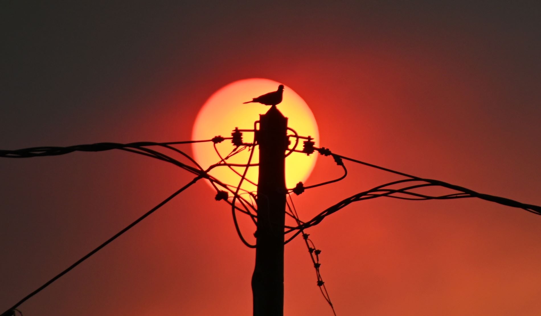 Πηγή : ΕΥΡΩΚΙΝΗΣΗ