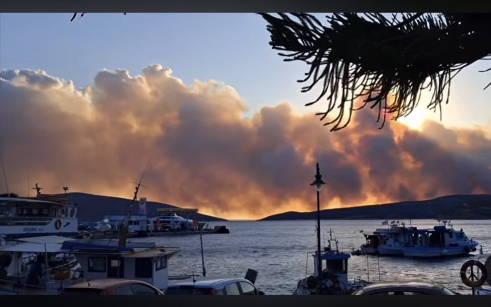 Μαίνεται η καταστροφική φωτιά στη Σκύρο (βίντεο)